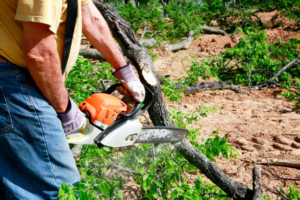 Lawn Irrigation Installation and Maintenance in Buffalo, TX